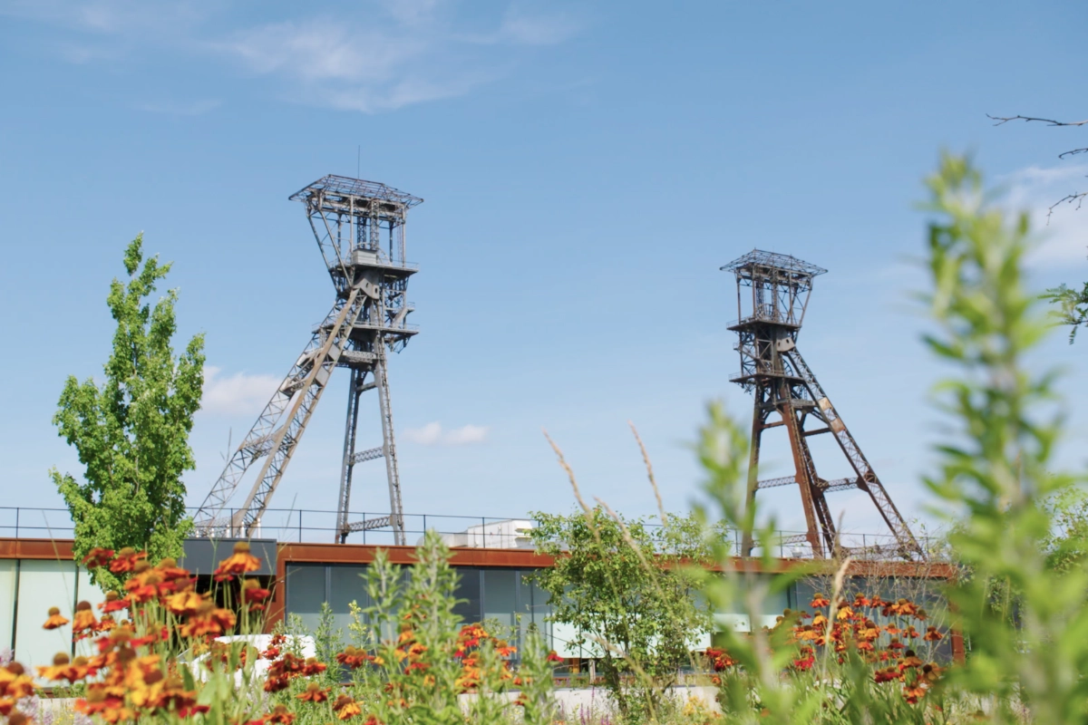Mining towers and flowers